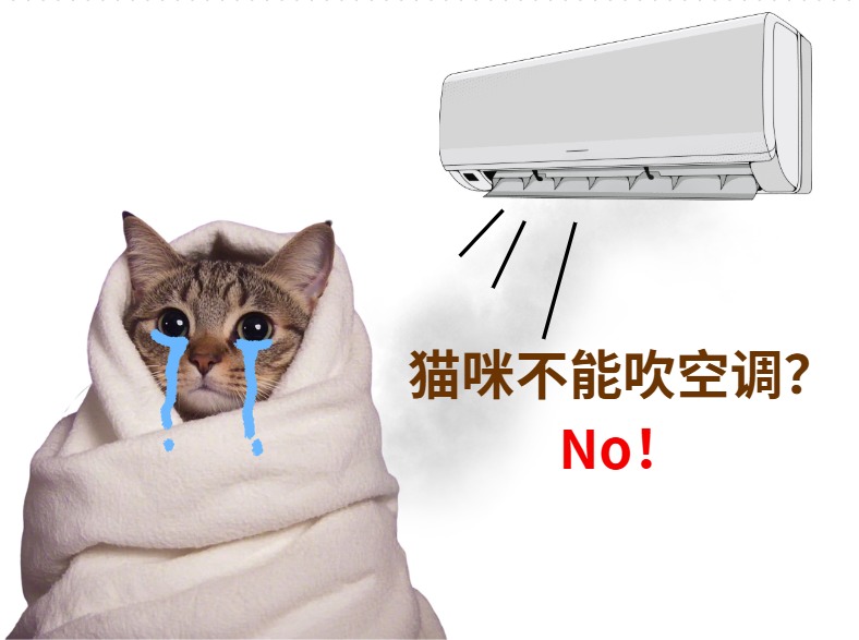 怎么避免猫咪得“空调病”?(图1) 怎么避免猫咪得“空调病”?(图1)