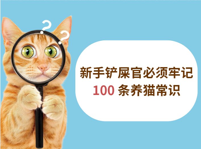新手养猫必须牢记的100条常识(图1) 新手养猫必须牢记的100条常识(图1)