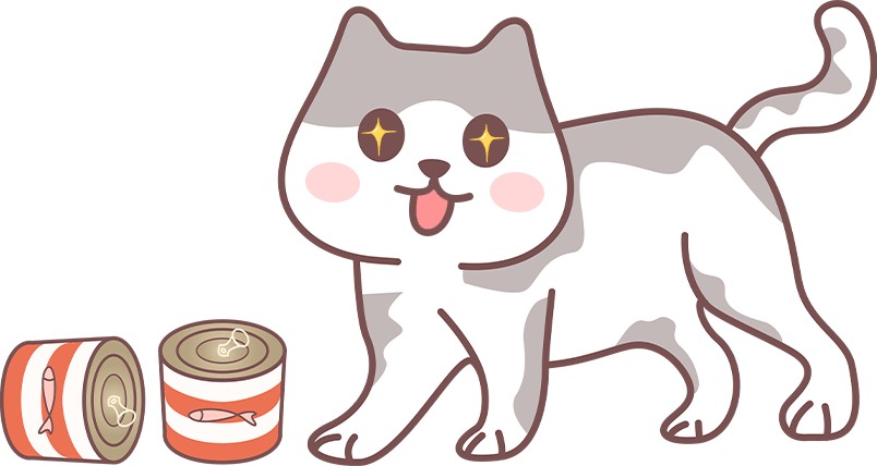 新手养猫必须牢记的100条常识(图3) 新手养猫必须牢记的100条常识(图3)