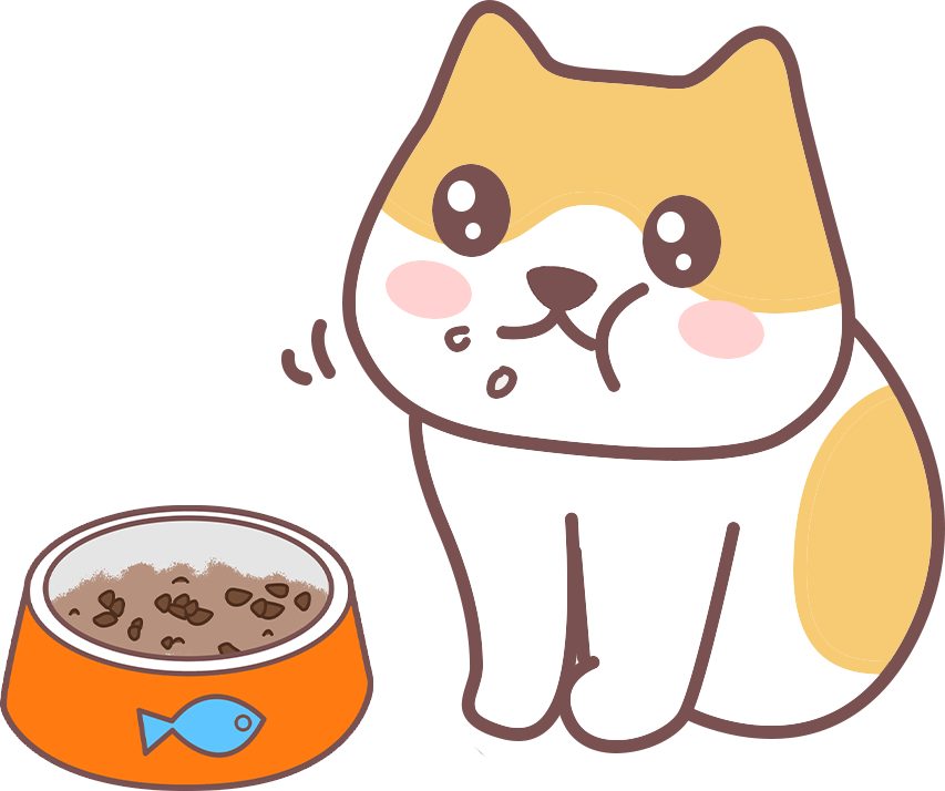 新手养猫必须牢记的100条常识(图2) 新手养猫必须牢记的100条常识(图2)