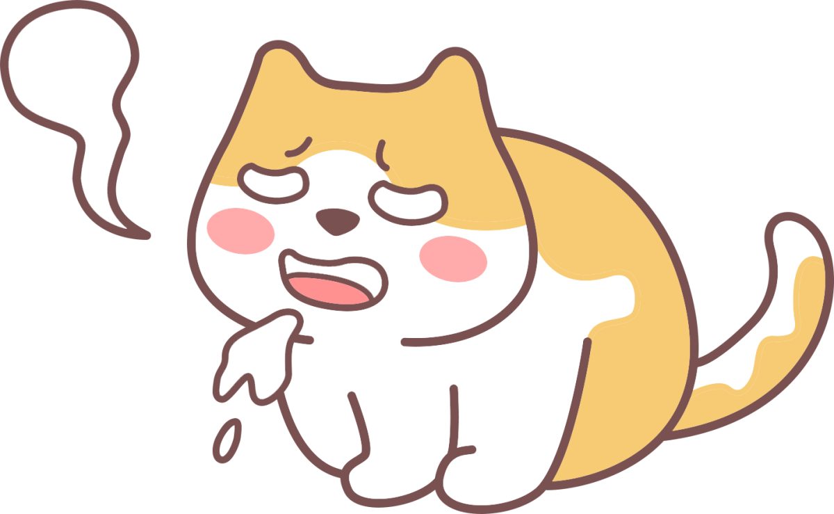 新手养猫必须牢记的100条常识(图4) 新手养猫必须牢记的100条常识(图4)