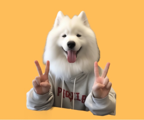 萨摩耶熊版和狼版的区别？看完这篇再也不迷糊！(图2)