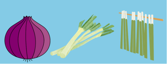 铲屎官必备冷知识：猫咪最讨厌的几种气味(图4)