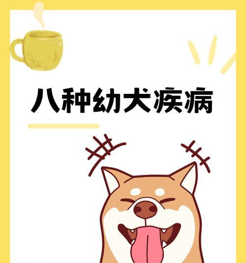 小狗发烧常见疾病及应对措施全攻略