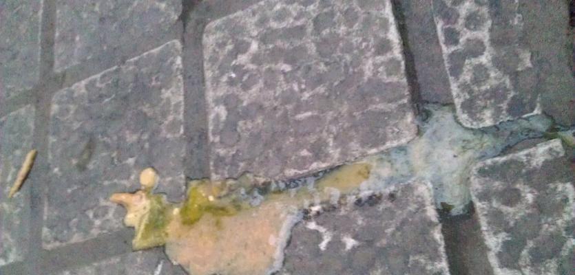 细小早期拉什么便便？（细小早期拉什么便便，了解症状与治疗方法）(图4)