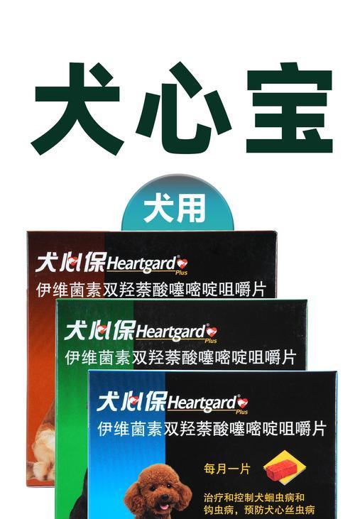 以犬心丝虫病的致命时长(以犬心丝虫病的悲剧)(图3) 以犬心丝虫病的致命时长(以犬心丝虫病的悲剧)(图3)