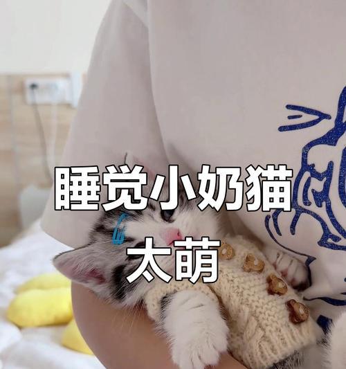 探秘猫咪的睡眠时间（揭开五岁猫咪的神秘睡眠时间，探索背后的科学原因和影响）(图1)