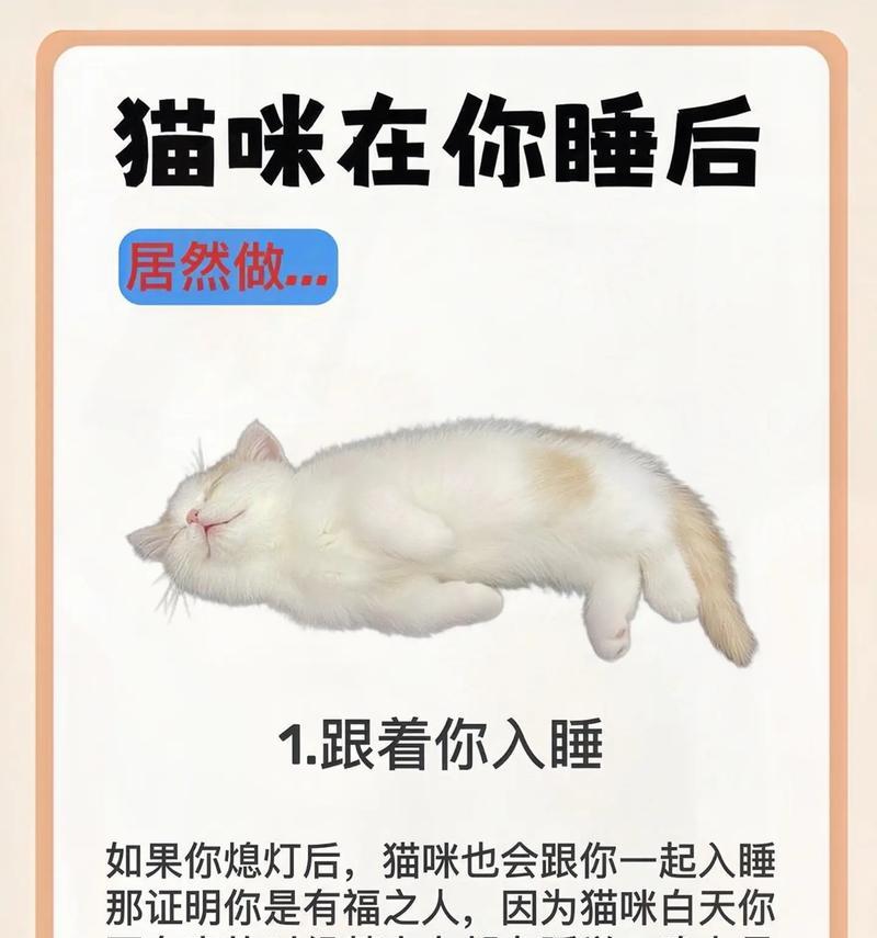 探秘猫咪的睡眠时间（揭开五岁猫咪的神秘睡眠时间，探索背后的科学原因和影响）(图2)