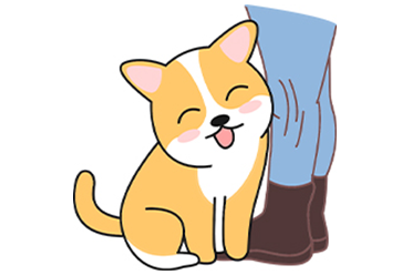 怎么让狗狗知道你很爱它？(图5)