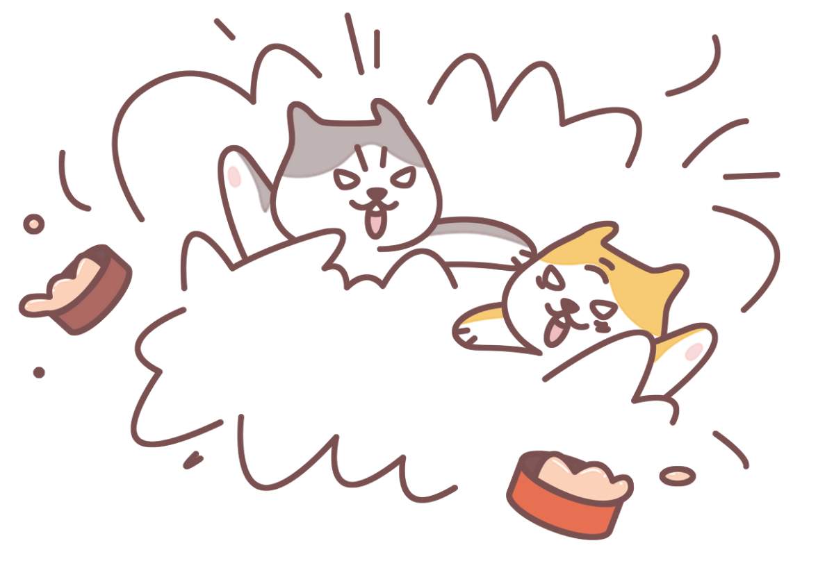 猫也会吃醋?盘点猫咪吃醋的5种表现(图6) 猫也会吃醋?盘点猫咪吃醋的5种表现(图6)