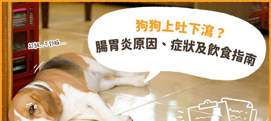 幼犬肠炎后的饮食恢复指南(肠炎康复,从饮食开始)(图3) 幼犬肠炎后的饮食恢复指南(肠炎康复,从饮食开始)(图3)