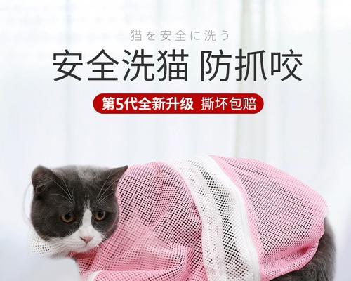 猫洗澡的正确方法与注意事项（选择适合猫洗