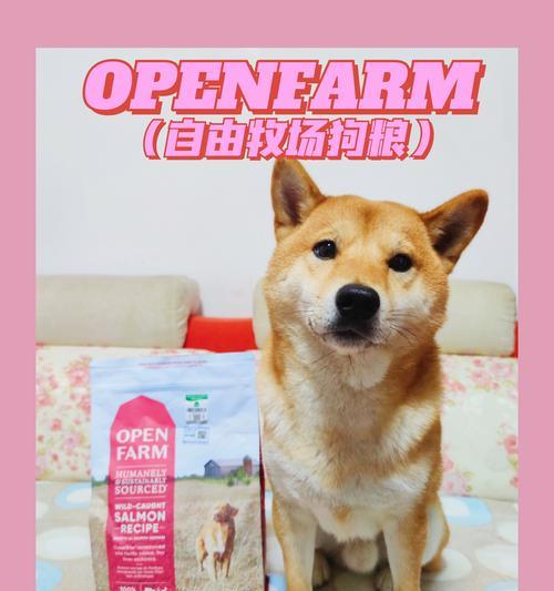 狗为什么不吃狗粮？（探究狗不吃狗粮的原因与解决方案）(图1)