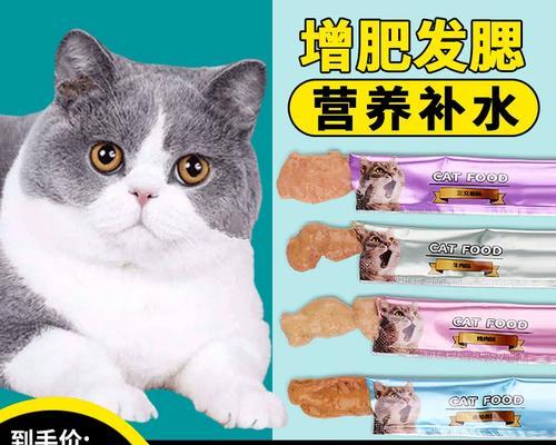 猫咪产后喂食注意事项(健康饮食促进母猫和幼猫成长)(图2) 猫咪产后喂食注意事项(健康饮食促进母猫和幼猫成长)(图2)