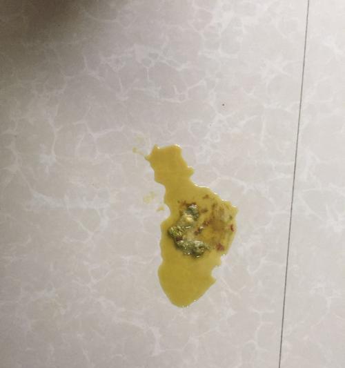 揭秘宠物泰迪的大便之谜（了解泰迪的消化系统，从大便说起）(图1)