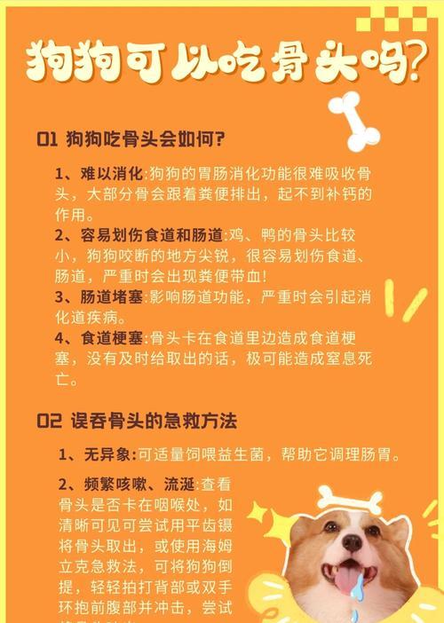 狗狗饮食的重要问题（狗狗骨头煮熟的关键是什么？）(图1)