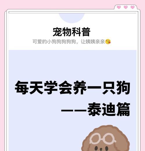 养泰迪狗狗，药品备齐才能安心（泰迪狗狗养育过程中必备药品及其