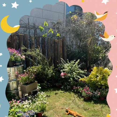 以绿鬣蜥可以喂食哪些蔬菜？（了解绿鬣蜥的蔬菜食谱，保持它们的