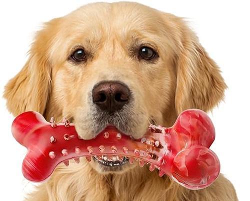 狗的牙齿咀嚼习惯及对健康的影响（探究狗的牙齿咀嚼习惯以及如何保持口腔健康）(图2)