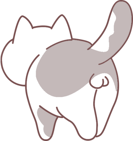 猫咪被揍了之后会记仇吗？(图4)