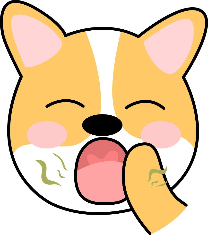 告别 “满屋狗味”：夏天狗狗体味除臭妙招来了(图5)