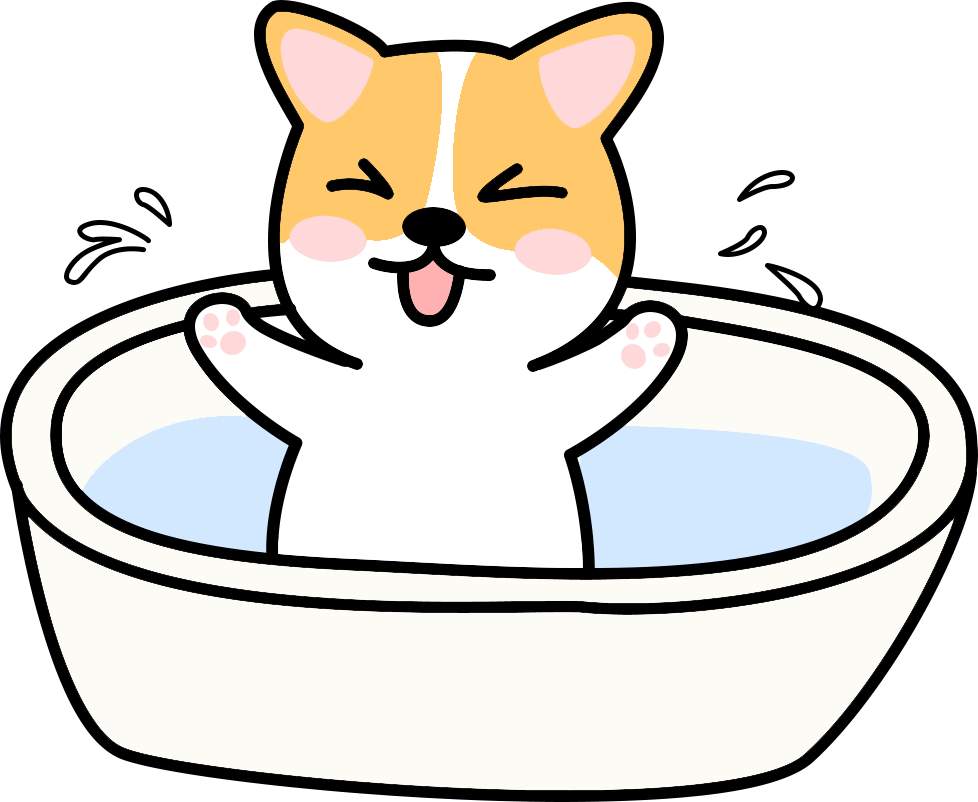 告别 “满屋狗味”：夏天狗狗体味除臭妙招来了(图3)