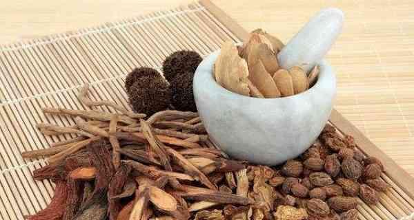 如何提高公猫的精子质量（有效饮食和生活方式，）(图3)