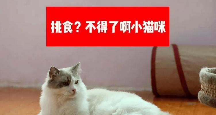 探究猫咪挑食行为的原因(为什么猫咪喜欢挑食?一起来了解吧!)(图2) 探究猫咪挑食行为的原因(为什么猫咪喜欢挑食?一起来了解吧!)(图2)