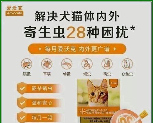 选择适合猫猫的驱虫药,关爱宠物健康(了解猫猫驱虫药的品牌及效果,为宠物提供全面保护)(图3) 选择适合猫猫的驱虫药,关爱宠物健康(了解猫猫驱虫药的品牌及效果,为宠物提供全面保护)(图3)
