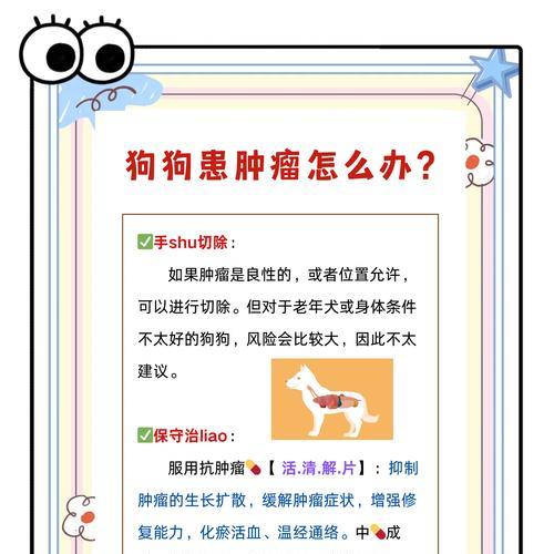 狗狗腹部肿大的原因及处理方法(了解狗狗腹部肿大的原因,及时采取正确的处理方法)(图3) 狗狗腹部肿大的原因及处理方法(了解狗狗腹部肿大的原因,及时采取正确的处理方法)(图3)