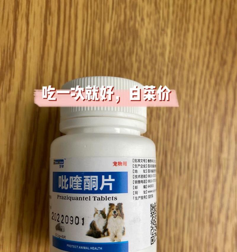 猫咪感染绦虫的原因及预防措施（了解猫咪感