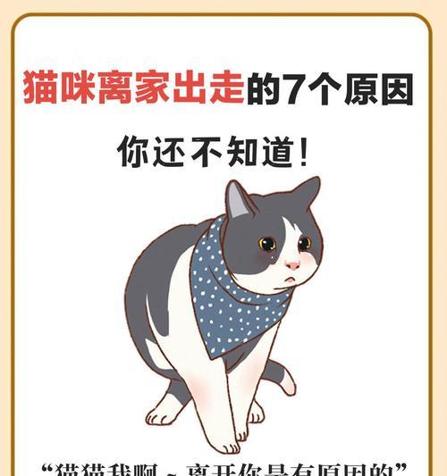 揭开猫咪吐绿水之谜（探究猫咪消化系统问题的原因及处理方法）(图3)