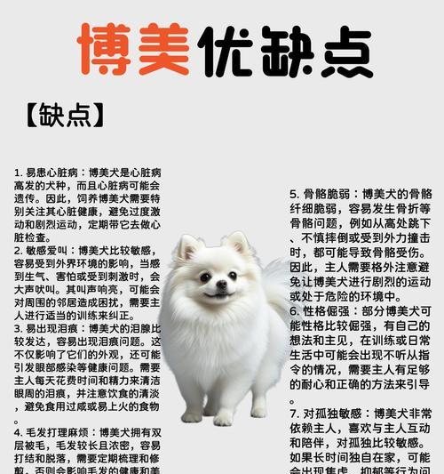 博美犬的缺点与不足（了解博美犬的不好之处，做出明智的选择）(图2)