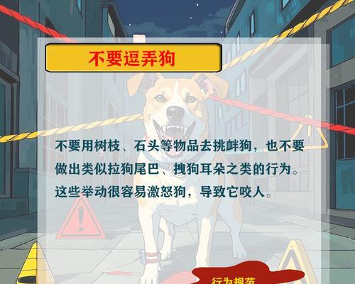 狗狗不咬人的时间是多久？（从初生到成熟，狗狗不咬人需要经历的阶段）