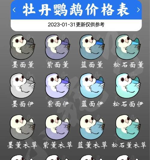 牡丹鹦鹉价格高的原因解析（探究牡丹鹦鹉价格飙升背后的原因及市场需求）(图2)