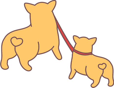 夏季遛狗保命指南（附中暑急救技巧）(图4)