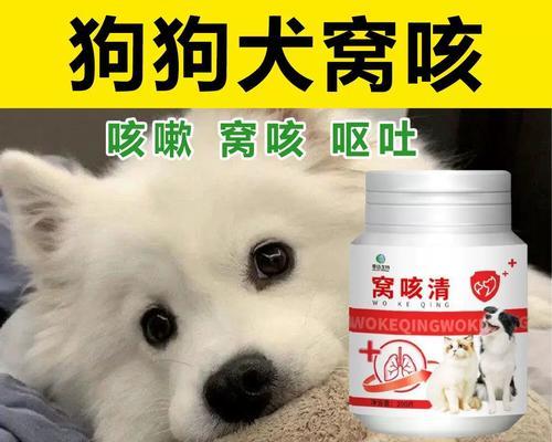 狗瘟发烧该如何用药治疗？（药物治疗是控制狗瘟发烧的关键）(图2)