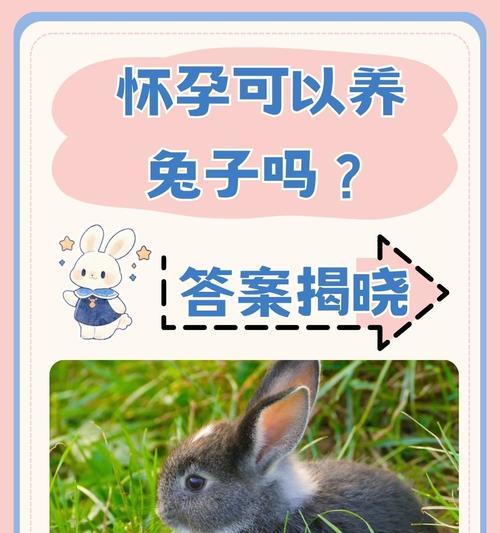 如何正确饲养熊猫兔（以熊猫兔饲养方式为主题，让你成为专业养兔达人）(图3)