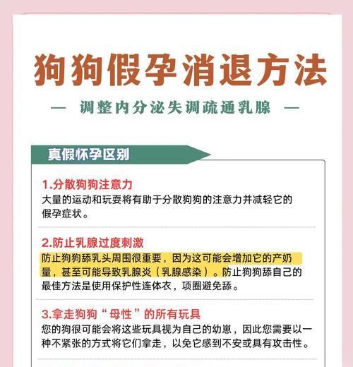 母狗假孕的症状和疗程（了解假孕对母狗的影响及如何处理）