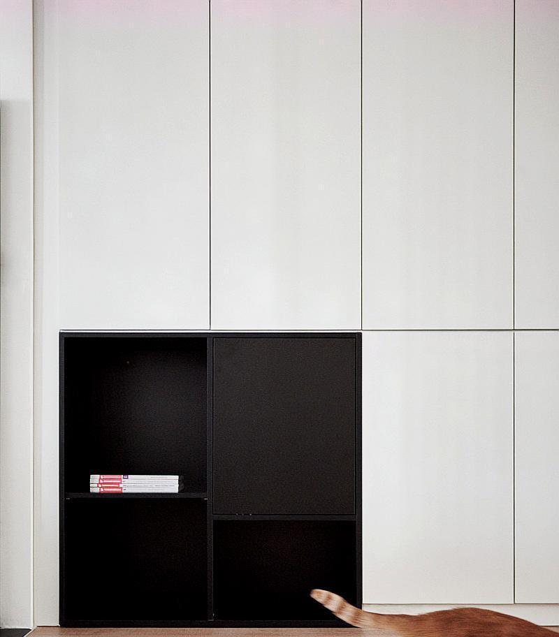 养狗新手必备家具选购指南（为你的爱犬打造舒适的家居环境，提供）(图3)