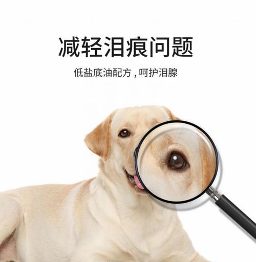 白毛狗宝宝的饮食需求（无泪腺问题的解决方