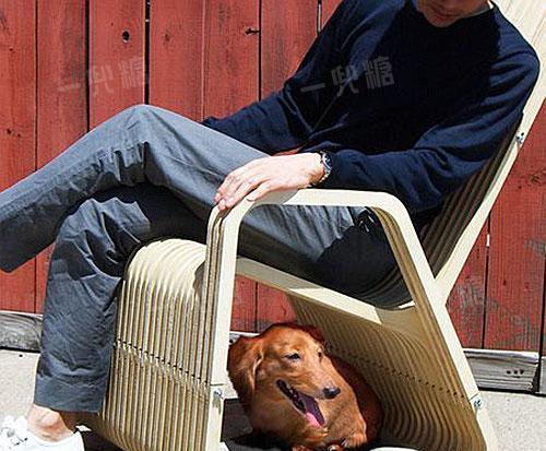 养狗新手必备家具选购指南（为你的爱犬打造舒适的家居环境，提供）(图2)