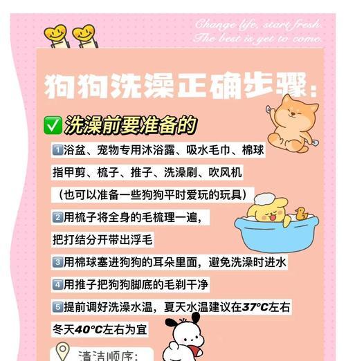狗狗怀孕多久可以洗澡？（关键时期的护理与