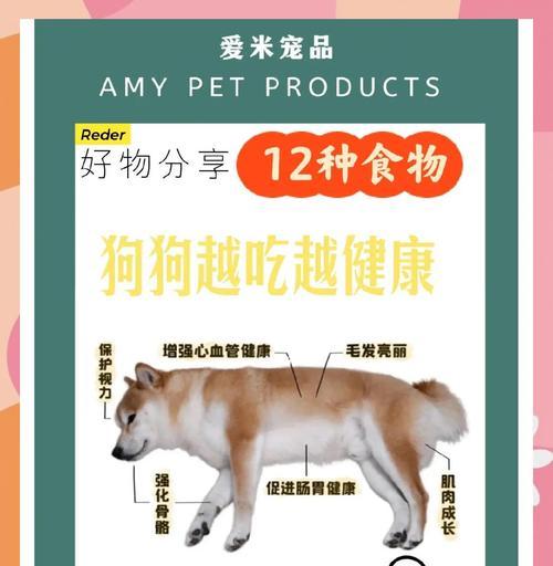 给小狗补钙的食物有哪些？（小狗缺钙怎么办？15种补钙食物让它快乐成长！）(图3)