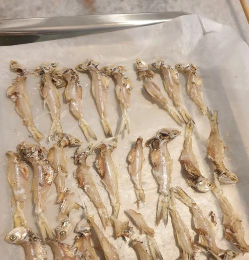 给小狗补钙的食物有哪些？（小狗缺钙怎么办？15种补钙食物让它快乐成长！）(图2)