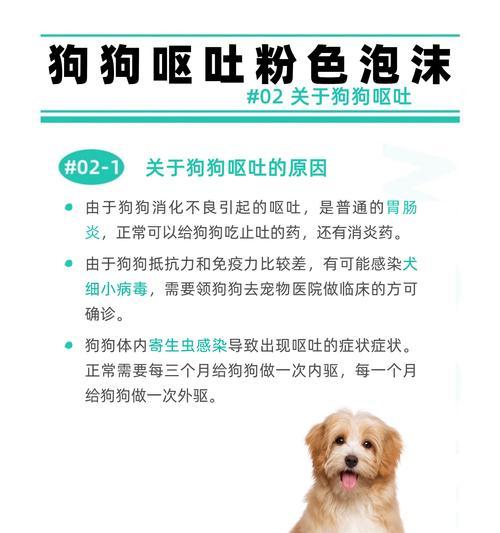 狗狗不吃饭呕吐泡沫状粘液，原因及处理方法(图3)