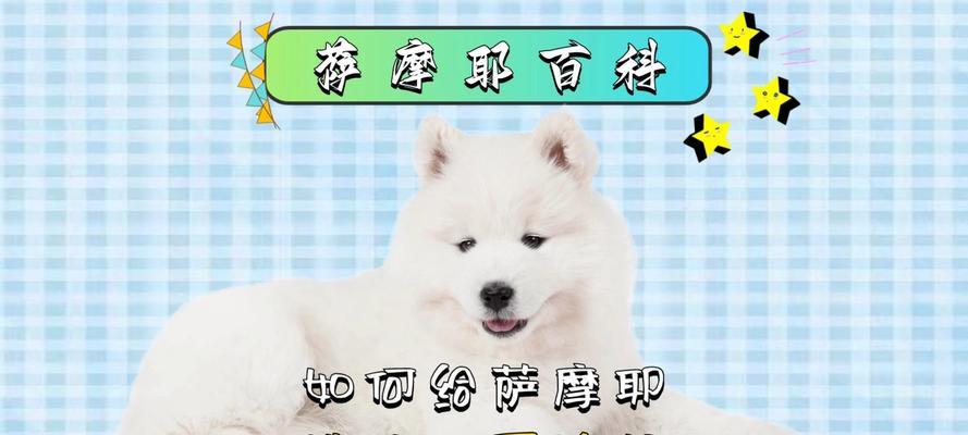 解决萨摩耶不吃狗粮问题的方法（学着自制狗粮，让狗狗营养均衡不挑食）(图3)