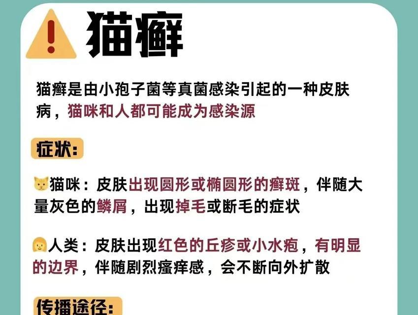 猫与人之间的疾病传播（揭秘以猫能传染人的常见疾病，保护你和你的宠物的健康）(图3)