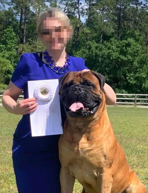 高大聪明的狗——人类最忠实的伙伴（以其智慧和力量，狗种族在人类生活中发挥着重要作用）(图1)