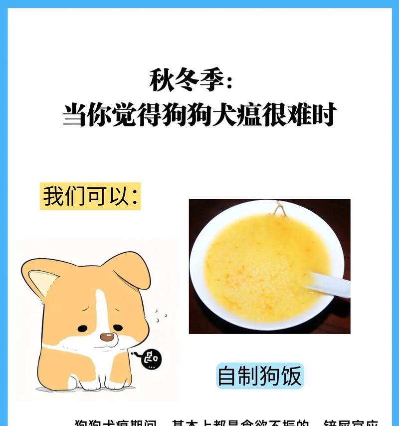 探讨狗的犬瘟潜伏期（犬瘟潜伏期长短揭秘！掌握关键信息保护你的爱犬健康）(图4)